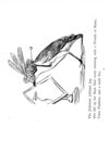 Thumbnail 0060 of Nonsense botany, and nonsense alphabets, etc. etc