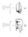 Thumbnail 0077 of Nonsense botany, and nonsense alphabets, etc. etc