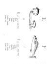 Thumbnail 0079 of Nonsense botany, and nonsense alphabets, etc. etc