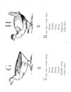 Thumbnail 0080 of Nonsense botany, and nonsense alphabets, etc. etc