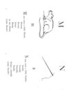Thumbnail 0083 of Nonsense botany, and nonsense alphabets, etc. etc