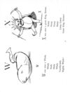 Thumbnail 0088 of Nonsense botany, and nonsense alphabets, etc. etc