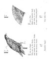 Thumbnail 0092 of Nonsense botany, and nonsense alphabets, etc. etc