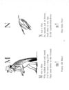 Thumbnail 0096 of Nonsense botany, and nonsense alphabets, etc. etc