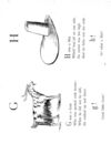 Thumbnail 0106 of Nonsense botany, and nonsense alphabets, etc. etc