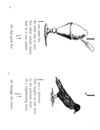 Thumbnail 0107 of Nonsense botany, and nonsense alphabets, etc. etc