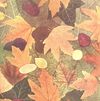Thumbnail 0026 of برگها