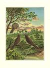 Thumbnail 0019 of Story of a dewdrop