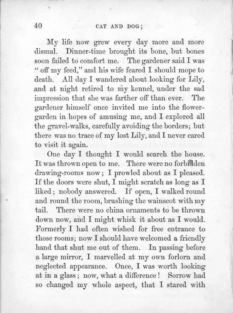 Scan 0043 of Cat and dog, or, Memoirs of Puss and the Captain