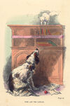 Thumbnail 0051 of Cat and dog, or, Memoirs of Puss and the Captain
