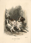Thumbnail 0090 of Cat and dog, or, Memoirs of Puss and the Captain