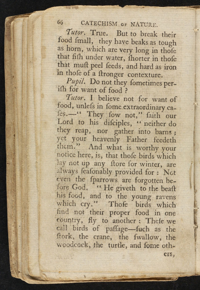 Scan 0066 of The catechism of nature