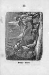 Thumbnail 0016 of Book about animals