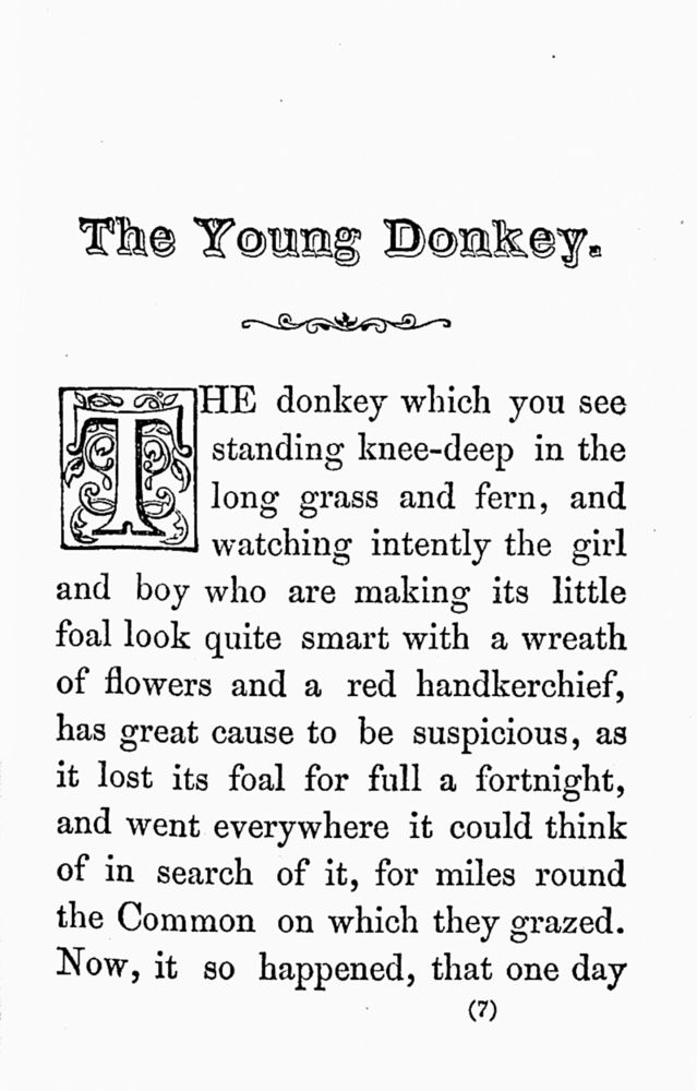 Scan 0009 of Young donkey