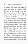 Thumbnail 0026 of Young angler