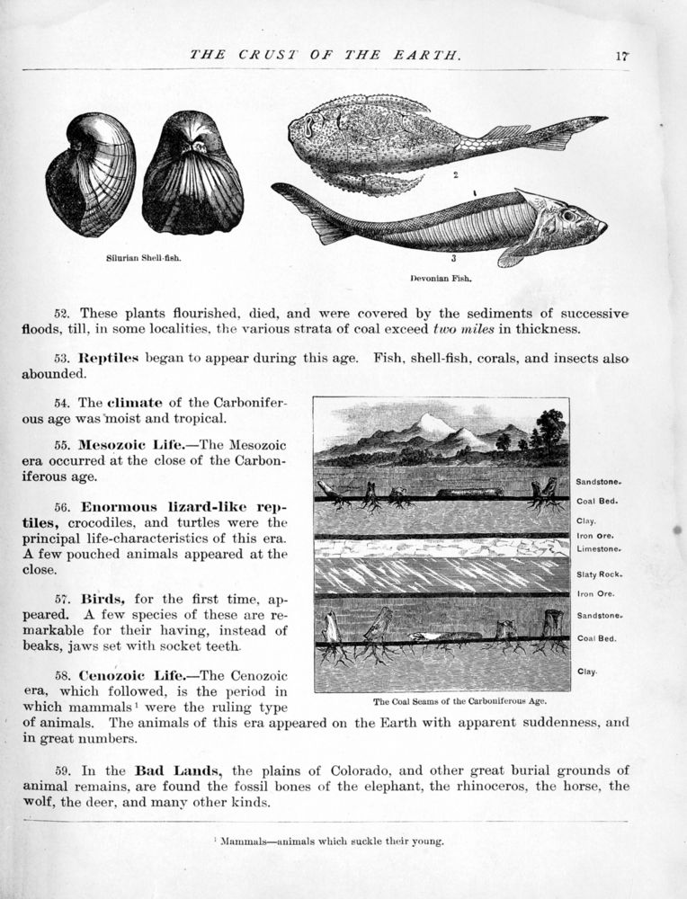 Scan 0019 of New physical geography for grammar and high schools, and colleges