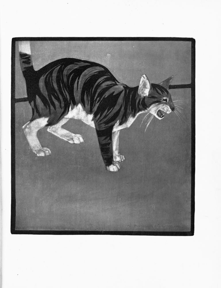 Scan 0012 of An alphabet of animals