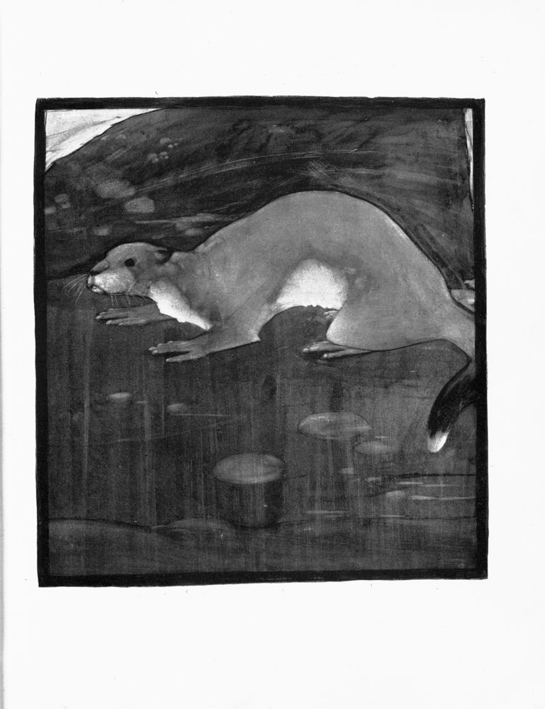 Scan 0048 of An alphabet of animals