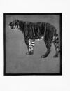 Thumbnail 0063 of An alphabet of animals