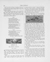 Thumbnail 0019 of The peep of day