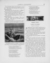 Thumbnail 0036 of The peep of day