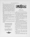 Thumbnail 0055 of The peep of day