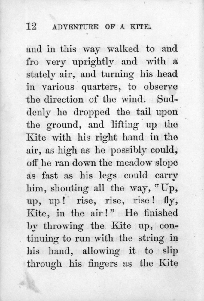 Scan 0014 of Adventure of a kite