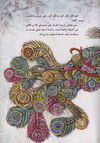 Thumbnail 0019 of دراز النگه