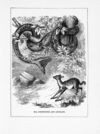 Thumbnail 0053 of The giants and how to fight them