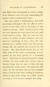 Thumbnail 0043 of The bears of Augustusburg