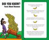 Thumbnail 0030 of Too many bananas