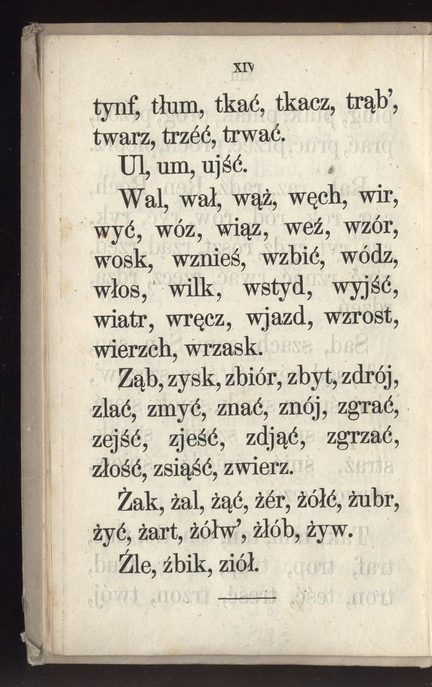 Scan 0022 of Towarzysz pilnych dzieci, czyli Początki czytania i innych wiadomości sposobem łatwym i do pojęcia młodocianego wieku zastosowanym 