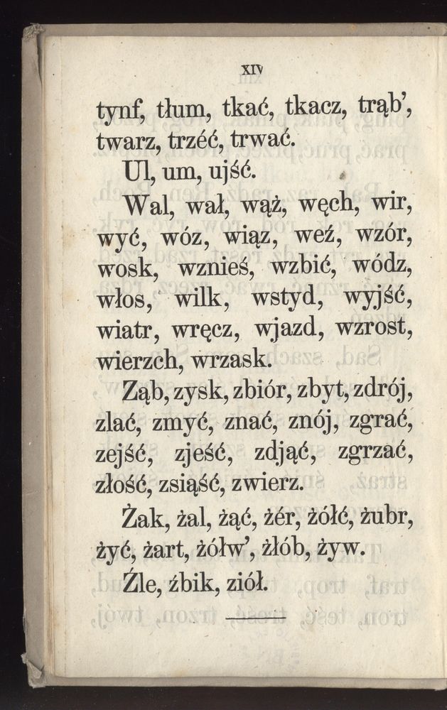 Scan 0022 of Towarzysz pilnych dzieci, czyli Początki czytania i innych wiadomości sposobem łatwym i do pojęcia młodocianego wieku zastosowanym 