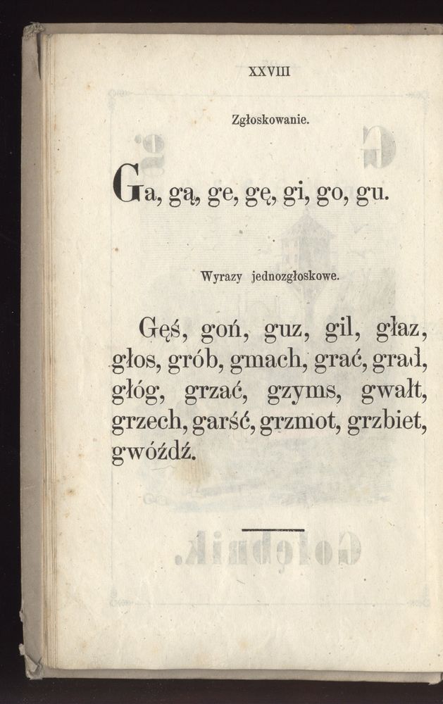 Scan 0036 of Towarzysz pilnych dzieci, czyli Początki czytania i innych wiadomości sposobem łatwym i do pojęcia młodocianego wieku zastosowanym 