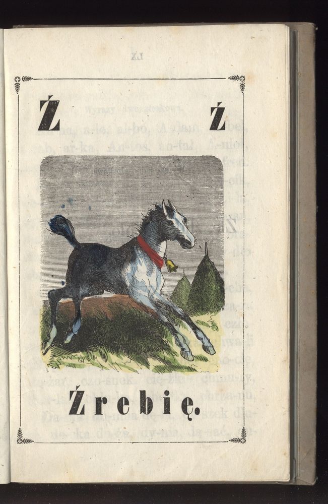 Scan 0071 of Towarzysz pilnych dzieci, czyli Początki czytania i innych wiadomości sposobem łatwym i do pojęcia młodocianego wieku zastosowanym 