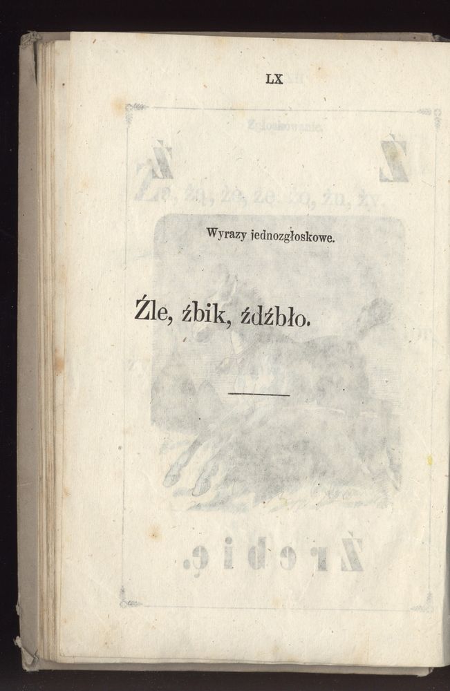 Scan 0072 of Towarzysz pilnych dzieci, czyli Początki czytania i innych wiadomości sposobem łatwym i do pojęcia młodocianego wieku zastosowanym 