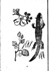 Thumbnail 0019 of 昆虫たちの国
