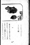 Thumbnail 0042 of 昆虫たちの国