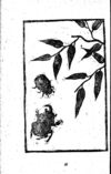 Thumbnail 0067 of 昆虫たちの国