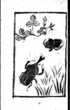 Thumbnail 0071 of 昆虫たちの国
