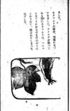 Thumbnail 0093 of 昆虫たちの国