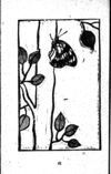 Thumbnail 0103 of 昆虫たちの国