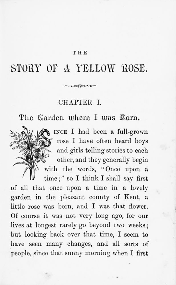 Scan 0009 of The story of a yellow rose told by itself