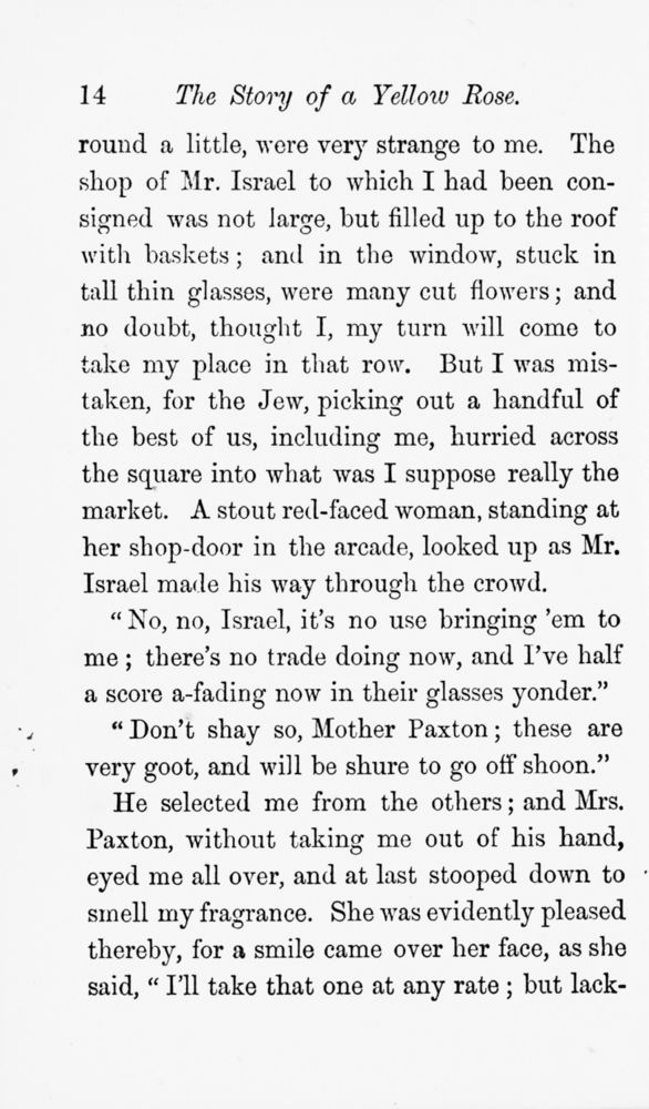 Scan 0018 of The story of a yellow rose told by itself