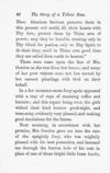 Thumbnail 0046 of The story of a yellow rose told by itself