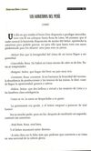 Thumbnail 0057 of Palma para niños y jóvenes