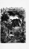 Thumbnail 0019 of Laura