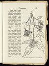 Thumbnail 0047 of Piccaninnies