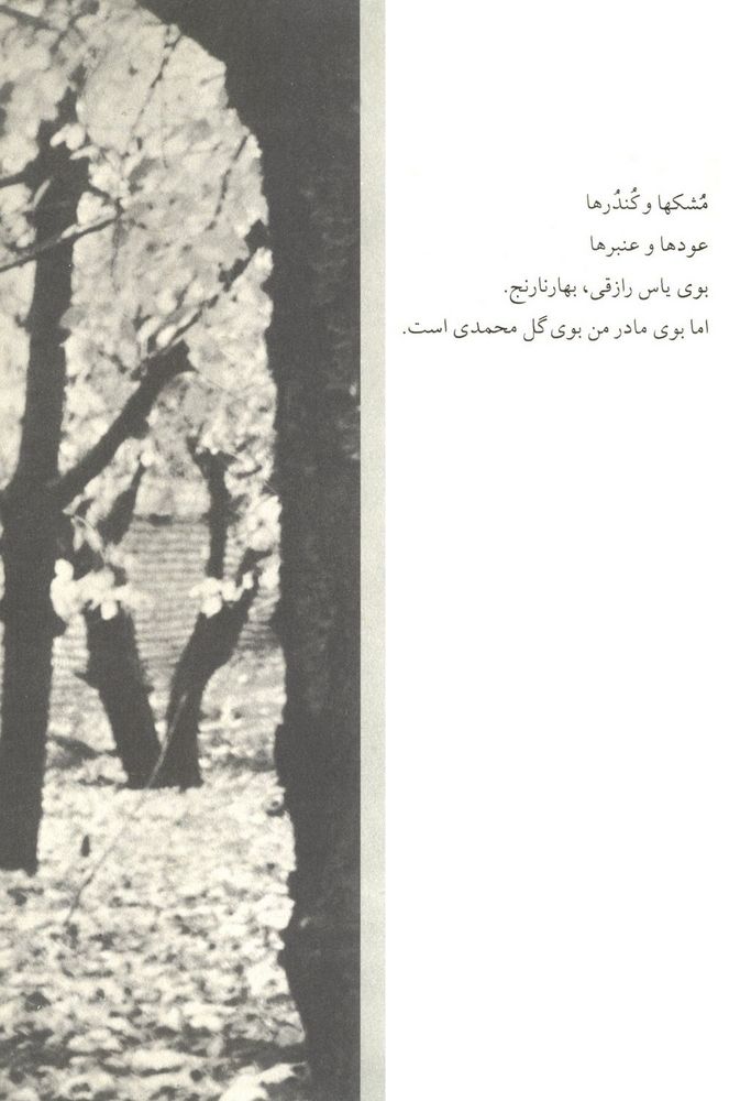 Scan 0019 of باغ ايراني