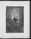 Thumbnail 0073 of The raven
